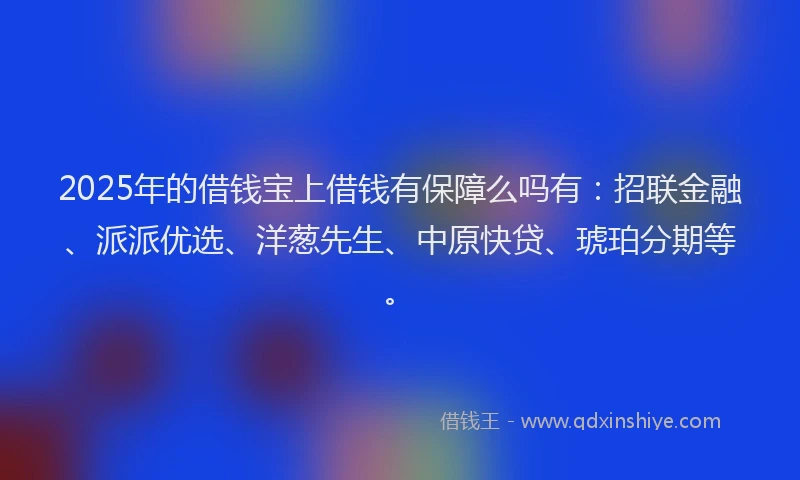 2025年的借钱宝上借钱有保障么吗有：招联金融、派派优选、洋葱先生、中原快贷、琥珀分期等。