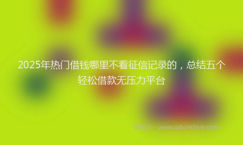 2025年热门借钱哪里不看征信记录的，总结五个轻松借款无压力平台
