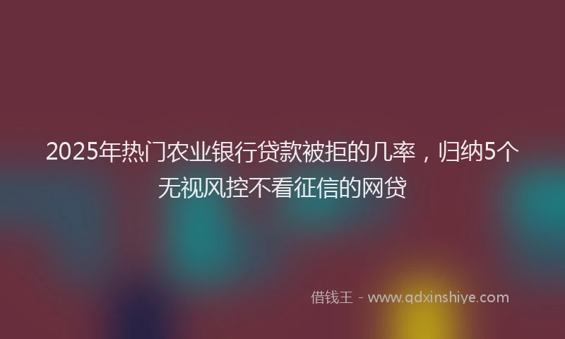2025年热门农业银行贷款被拒的几率，归纳5个无视风控不看征信的网贷