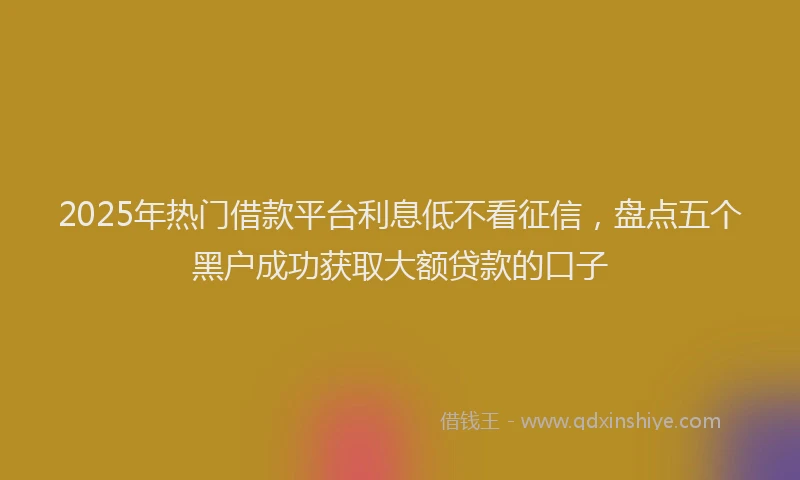 2025年热门借款平台利息低不看征信，盘点五个黑户成功获取大额贷款的口子