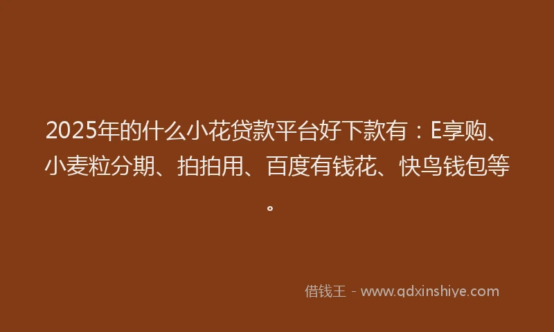 2025年的什么小花贷款平台好下款有：E享购、小麦粒分期、拍拍用、百度有钱花、快鸟钱包等。