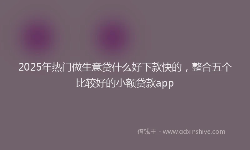 2025年热门做生意贷什么好下款快的，整合五个比较好的小额贷款app