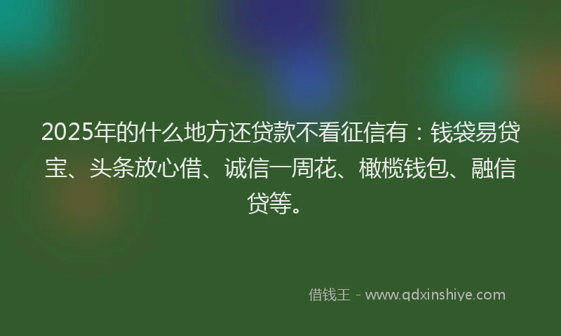 2025年的什么地方还贷款不看征信有：钱袋易贷宝、头条放心借、诚信一周花、橄榄钱包、融信贷等。