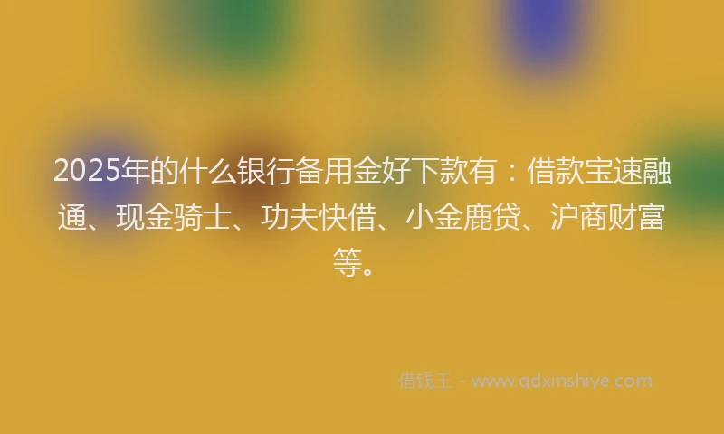 2025年的什么银行备用金好下款有：借款宝速融通、现金骑士、功夫快借、小金鹿贷、沪商财富等。