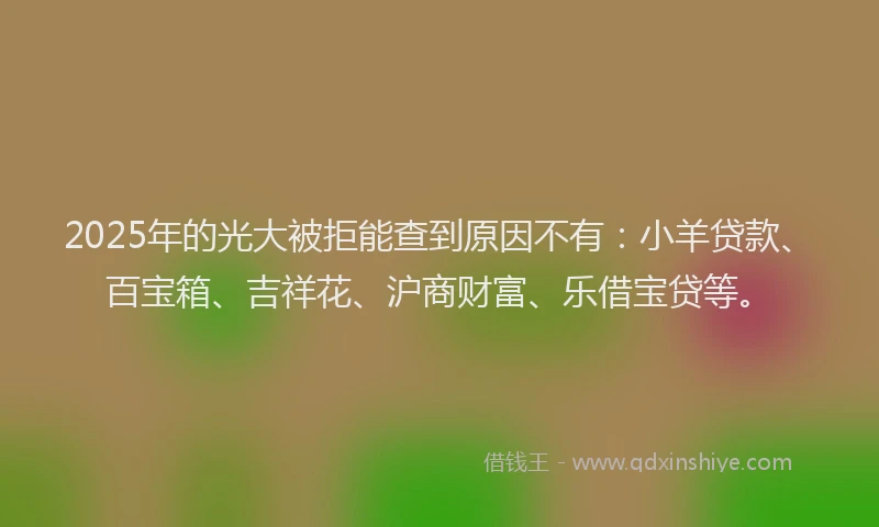 2025年的光大被拒能查到原因不有：小羊贷款、百宝箱、吉祥花、沪商财富、乐借宝贷等。