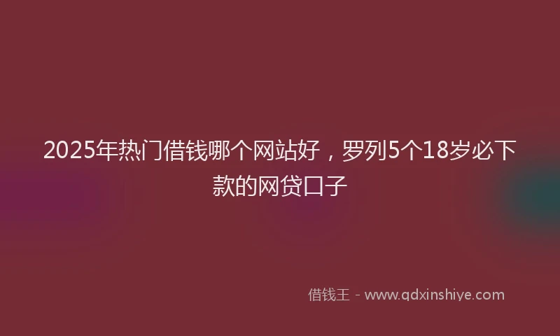 2025年热门借钱哪个网站好，罗列5个18岁必下款的网贷口子