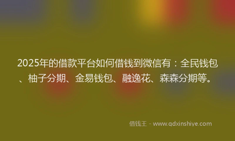 2025年的借款平台如何借钱到微信有：全民钱包、柚子分期、金易钱包、融逸花、森森分期等。