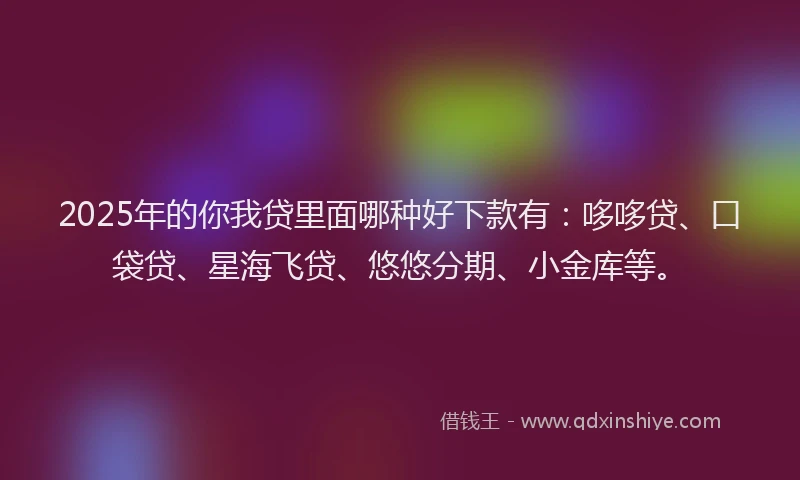 2025年的你我贷里面哪种好下款有：哆哆贷、口袋贷、星海飞贷、悠悠分期、小金库等。