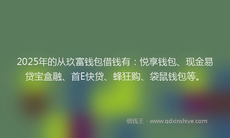 2025年的从玖富钱包借钱有：悦享钱包、现金易贷宝盒融、首E快贷、蜂狂购、袋鼠钱包等。