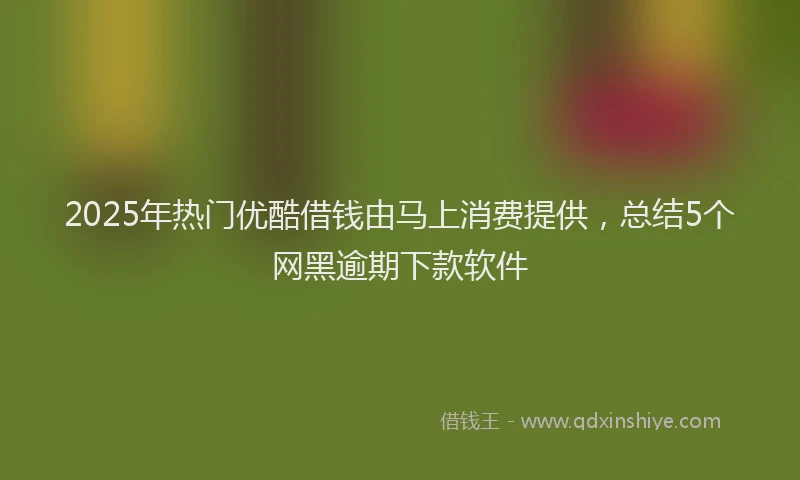 2025年热门优酷借钱由马上消费提供，总结5个网黑逾期下款软件