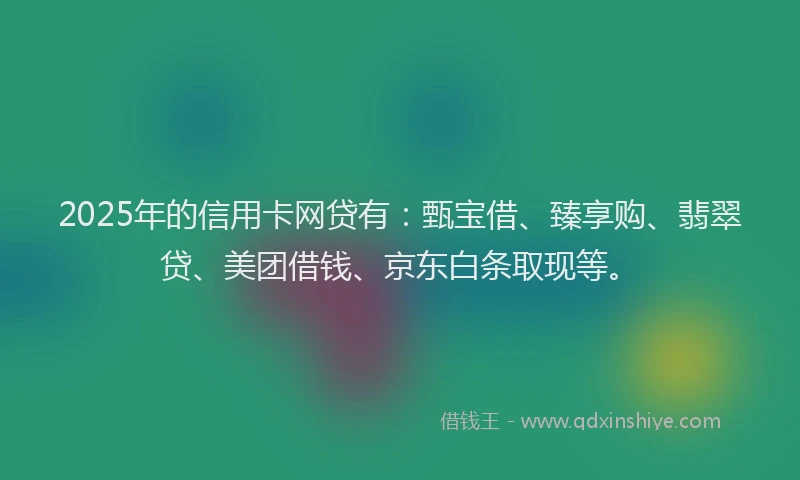 2025年的信用卡网贷有：甄宝借、臻享购、翡翠贷、美团借钱、京东白条取现等。