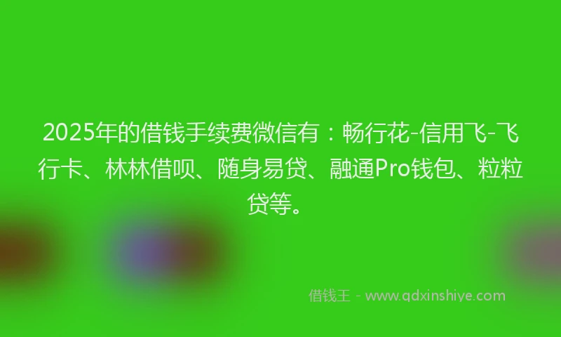 2025年的借钱手续费微信有：畅行花-信用飞-飞行卡、林林借呗、随身易贷、融通Pro钱包、粒粒贷等。