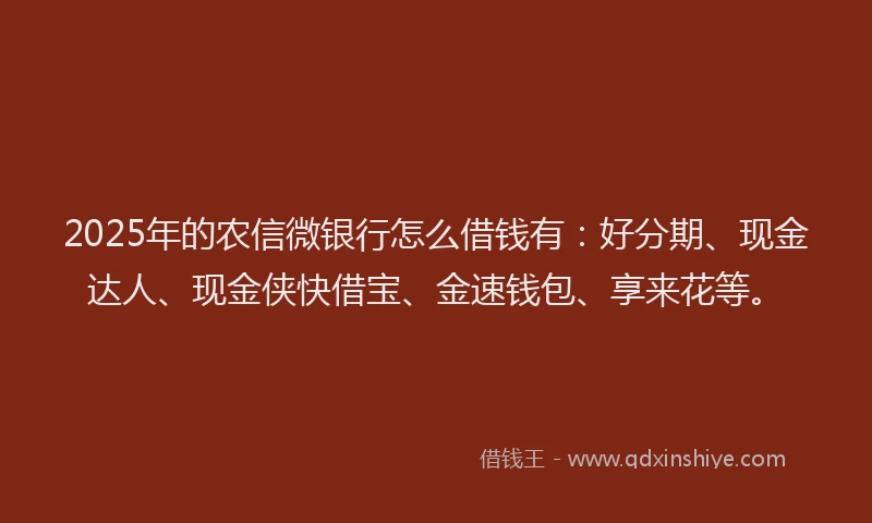 2025年的农信微银行怎么借钱有：好分期、现金达人、现金侠快借宝、金速钱包、享来花等。