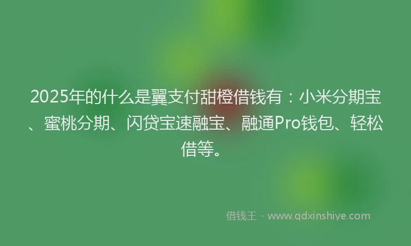 2025年的什么是翼支付甜橙借钱有：小米分期宝、蜜桃分期、闪贷宝速融宝、融通Pro钱包、轻松借等。
