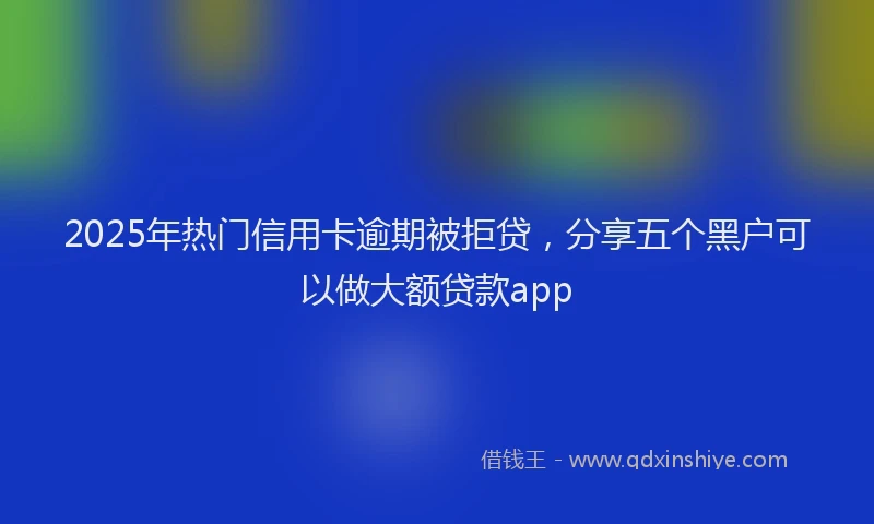 2025年热门信用卡逾期被拒贷，分享五个黑户可以做大额贷款app