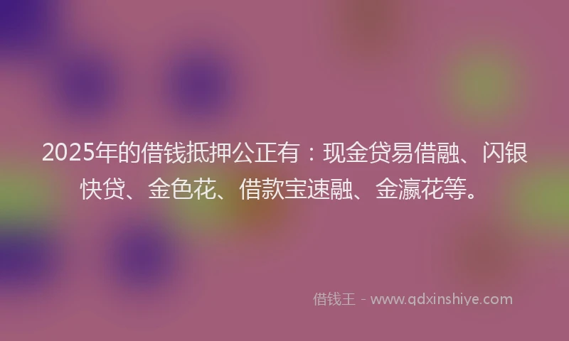 2025年的借钱抵押公正有：现金贷易借融、闪银快贷、金色花、借款宝速融、金瀛花等。