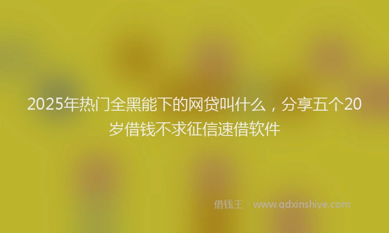 2025年热门全黑能下的网贷叫什么，分享五个20岁借钱不求征信速借软件