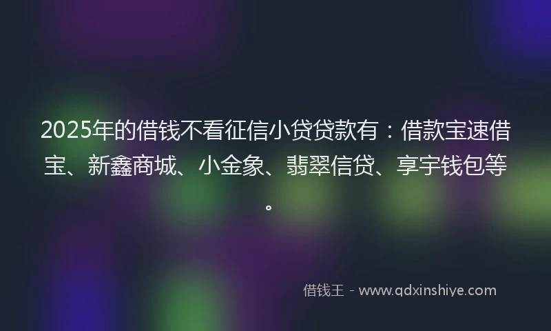 2025年的借钱不看征信小贷贷款有：借款宝速借宝、新鑫商城、小金象、翡翠信贷、享宇钱包等。
