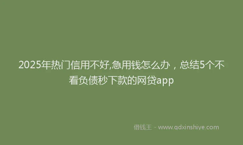2025年热门信用不好,急用钱怎么办，总结5个不看负债秒下款的网贷app