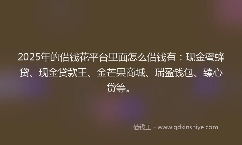 2025年的借钱花平台里面怎么借钱有：现金蜜蜂贷、现金贷款王、金芒果商城、瑞盈钱包、臻心贷等。