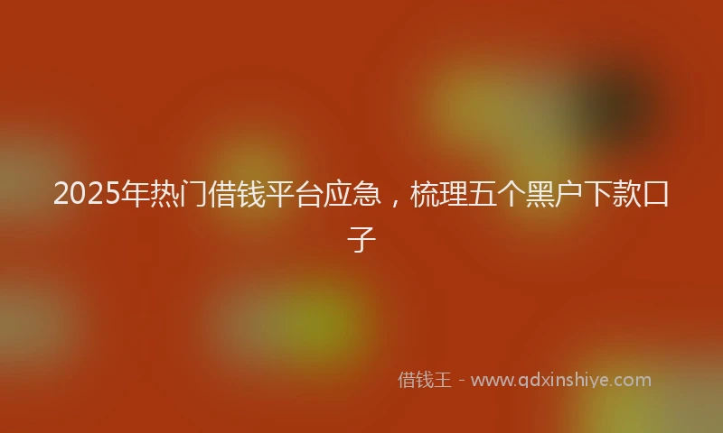 2025年热门借钱平台应急，梳理五个黑户下款口子