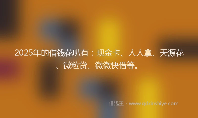 2025年的借钱花叭有：现金卡、人人拿、天源花、微粒贷、微微快借等。