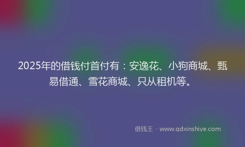 2025年的借钱付首付有：安逸花、小狗商城、甄易借通、雪花商城、只从租机等。