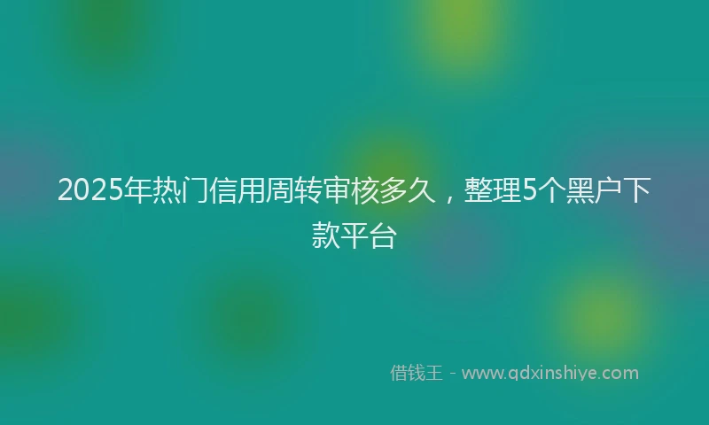 2025年热门信用周转审核多久，整理5个黑户下款平台