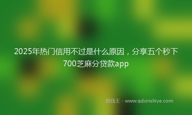 2025年热门信用不过是什么原因，分享五个秒下700芝麻分贷款app