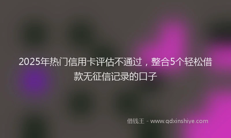 2025年热门信用卡评估不通过，整合5个轻松借款无征信记录的口子