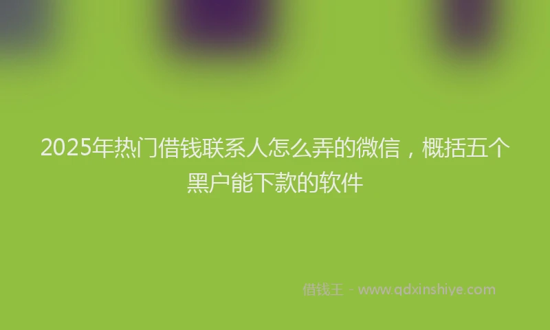 2025年热门借钱联系人怎么弄的微信，概括五个黑户能下款的软件