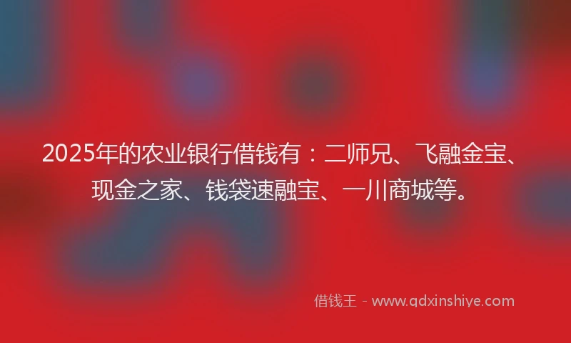 2025年的农业银行借钱有：二师兄、飞融金宝、现金之家、钱袋速融宝、一川商城等。