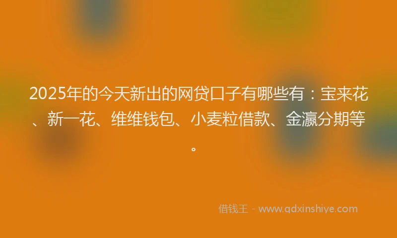 2025年的今天新出的网贷口子有哪些有：宝来花、新一花、维维钱包、小麦粒借款、金瀛分期等。