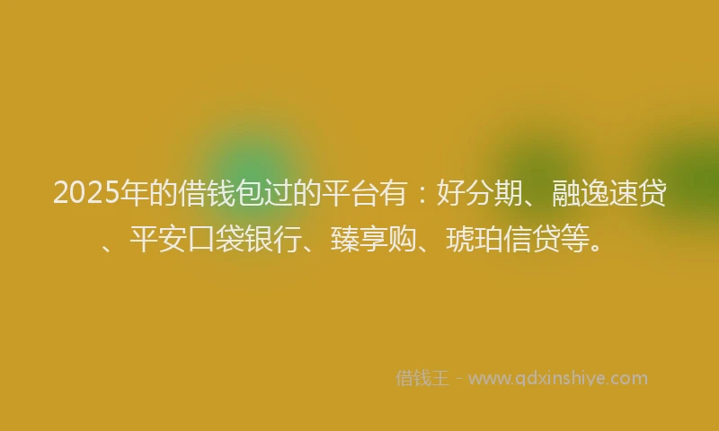 2025年的借钱包过的平台有：好分期、融逸速贷、平安口袋银行、臻享购、琥珀信贷等。