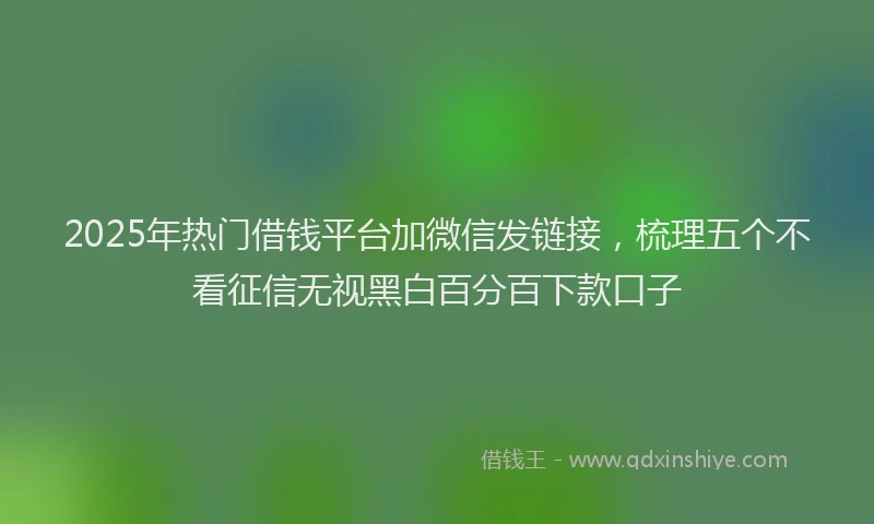 2025年热门借钱平台加微信发链接，梳理五个不看征信无视黑白百分百下款口子