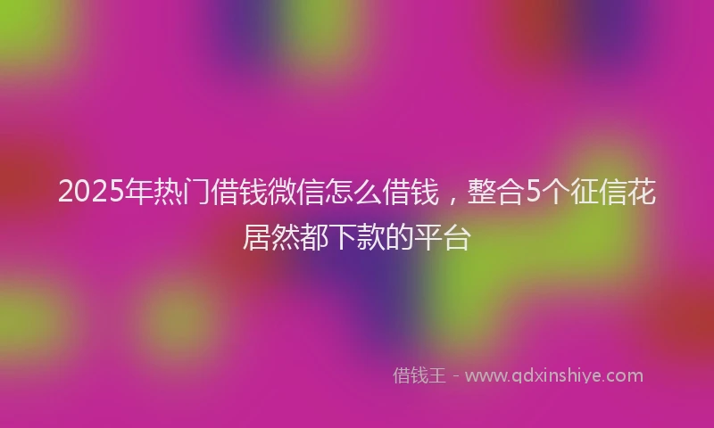 2025年热门借钱微信怎么借钱，整合5个征信花居然都下款的平台