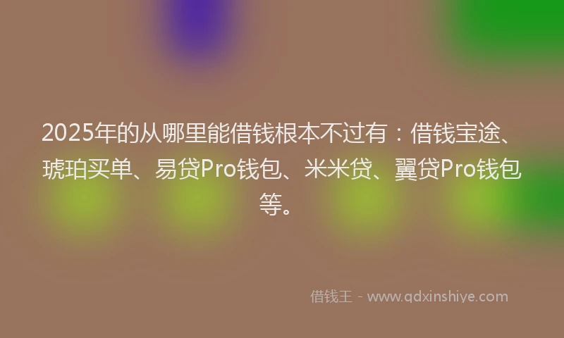 2025年的从哪里能借钱根本不过有：借钱宝途、琥珀买单、易贷Pro钱包、米米贷、翼贷Pro钱包等。