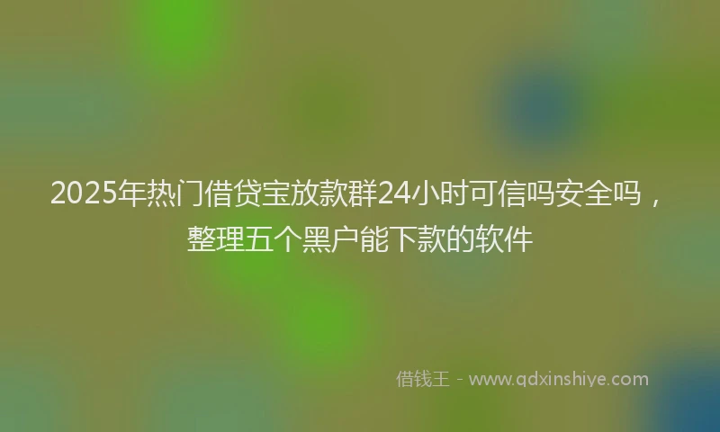 2025年热门借贷宝放款群24小时可信吗安全吗，整理五个黑户能下款的软件