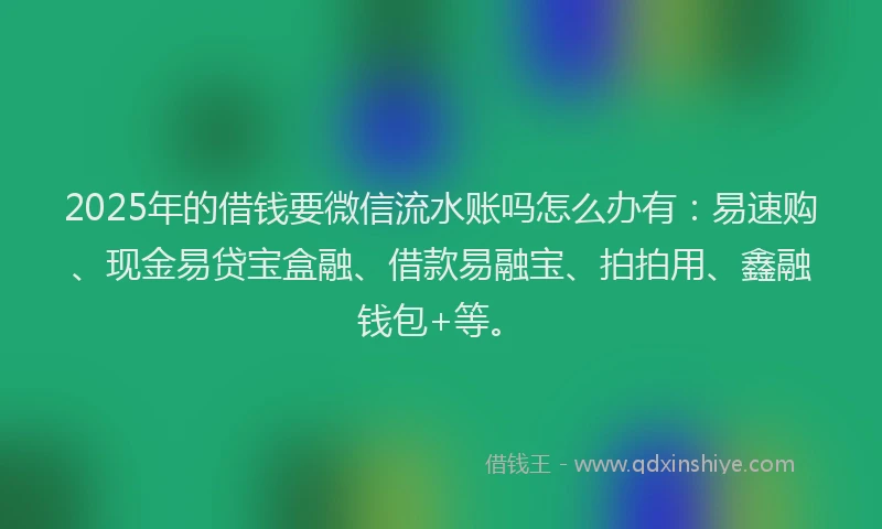2025年的借钱要微信流水账吗怎么办有：易速购、现金易贷宝盒融、借款易融宝、拍拍用、鑫融钱包+等。