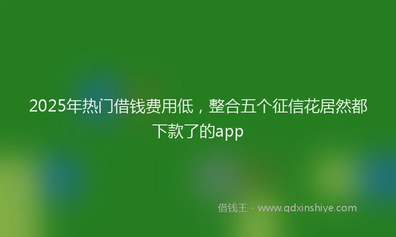 2025年热门借钱费用低，整合五个征信花居然都下款了的app