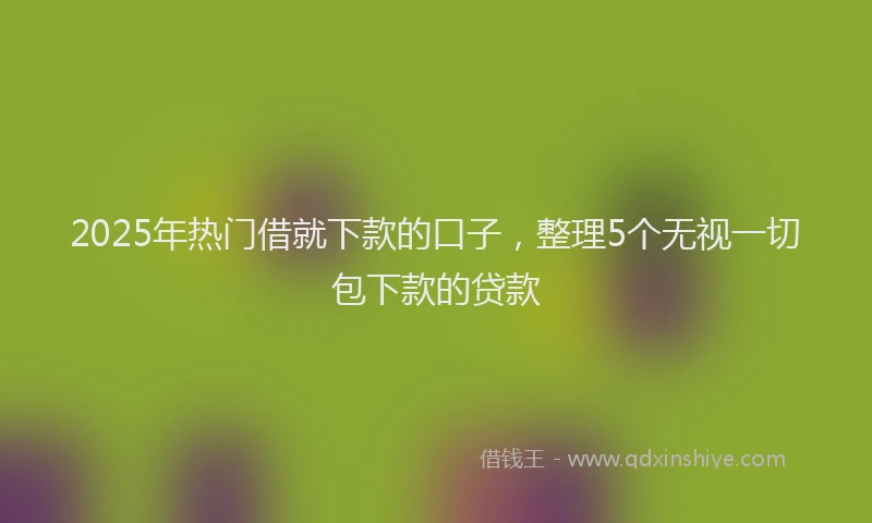 2025年热门借就下款的口子，整理5个无视一切包下款的贷款