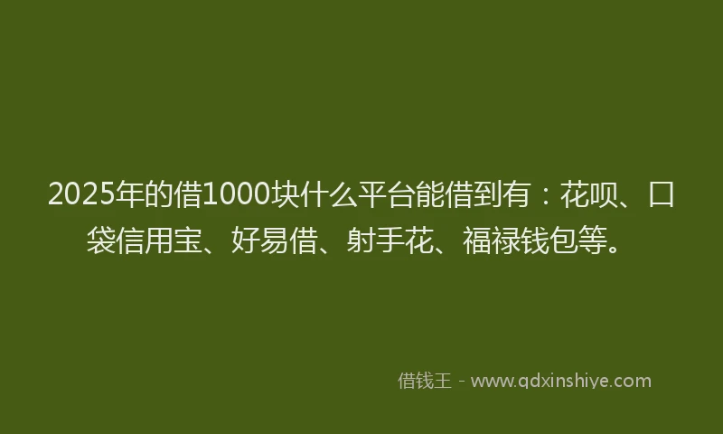 2025年的借1000块什么平台能借到有：花呗、口袋信用宝、好易借、射手花、福禄钱包等。