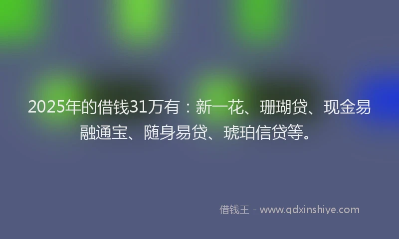 2025年的借钱31万有：新一花、珊瑚贷、现金易融通宝、随身易贷、琥珀信贷等。