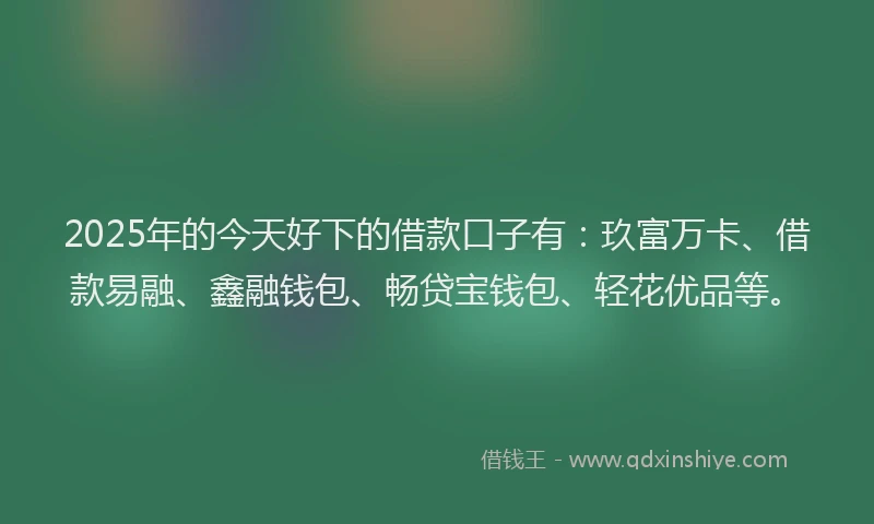 2025年的今天好下的借款口子有：玖富万卡、借款易融、鑫融钱包、畅贷宝钱包、轻花优品等。