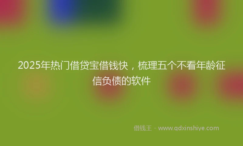 2025年热门借贷宝借钱快，梳理五个不看年龄征信负债的软件