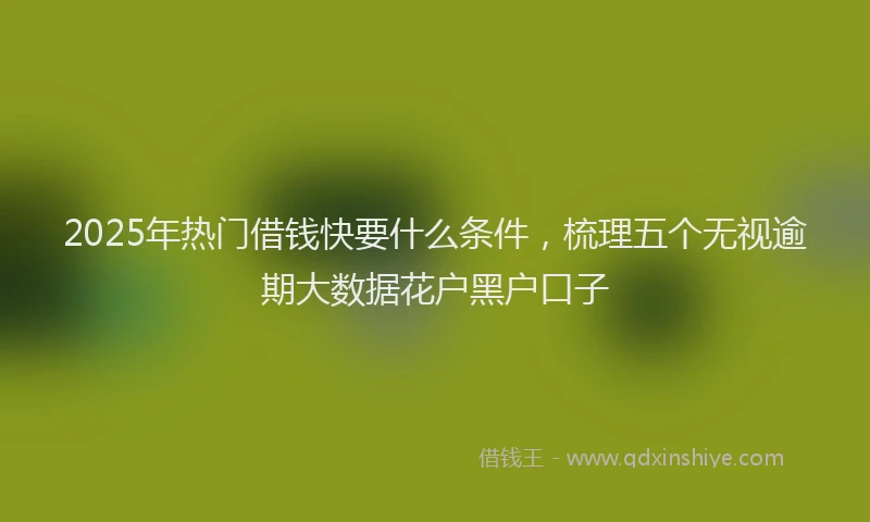 2025年热门借钱快要什么条件，梳理五个无视逾期大数据花户黑户口子