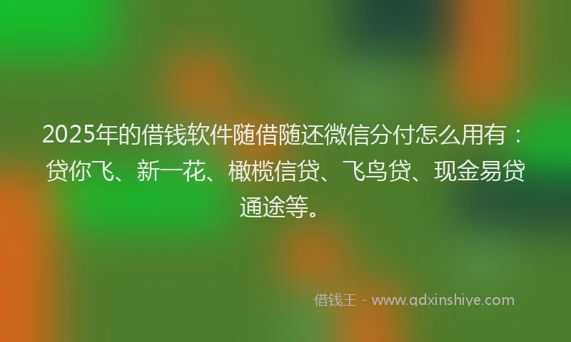 2025年的借钱软件随借随还微信分付怎么用有：贷你飞、新一花、橄榄信贷、飞鸟贷、现金易贷通途等。