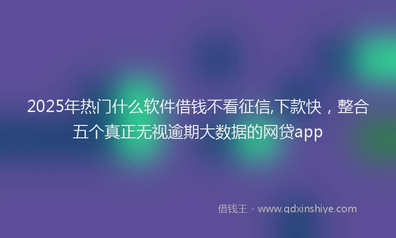 2025年热门什么软件借钱不看征信,下款快，整合五个真正无视逾期大数据的网贷app