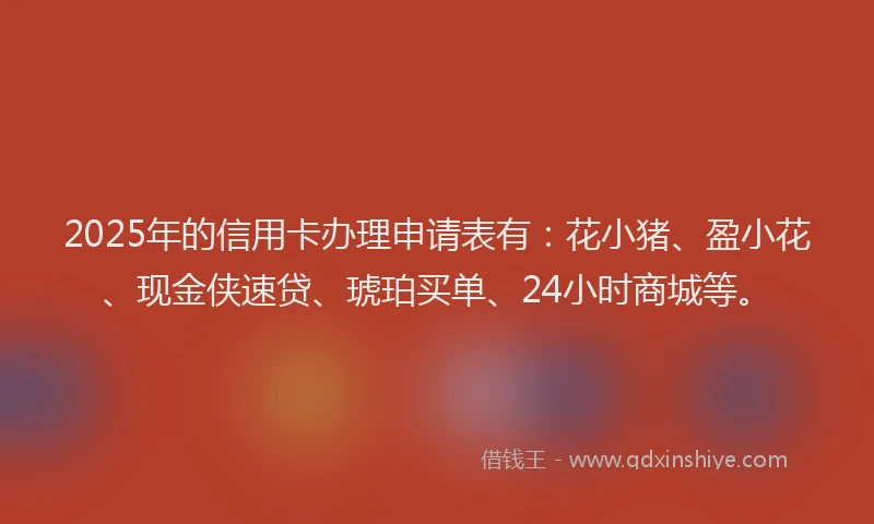 2025年的信用卡办理申请表有：花小猪、盈小花、现金侠速贷、琥珀买单、24小时商城等。