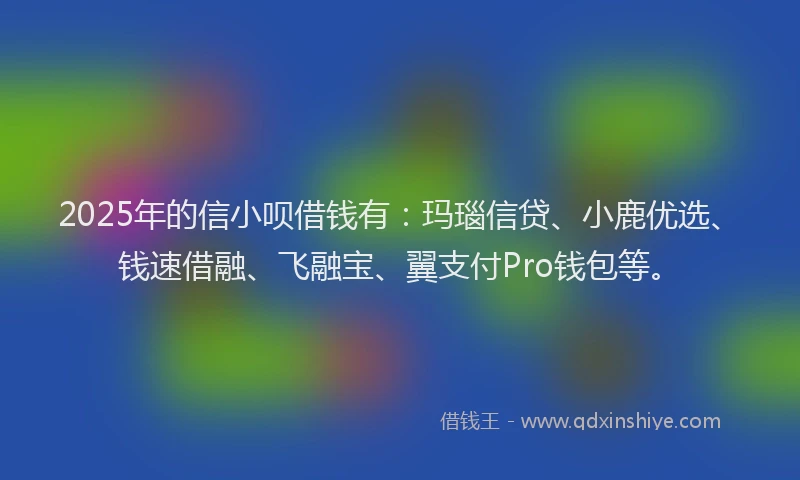 2025年的信小呗借钱有：玛瑙信贷、小鹿优选、钱速借融、飞融宝、翼支付Pro钱包等。